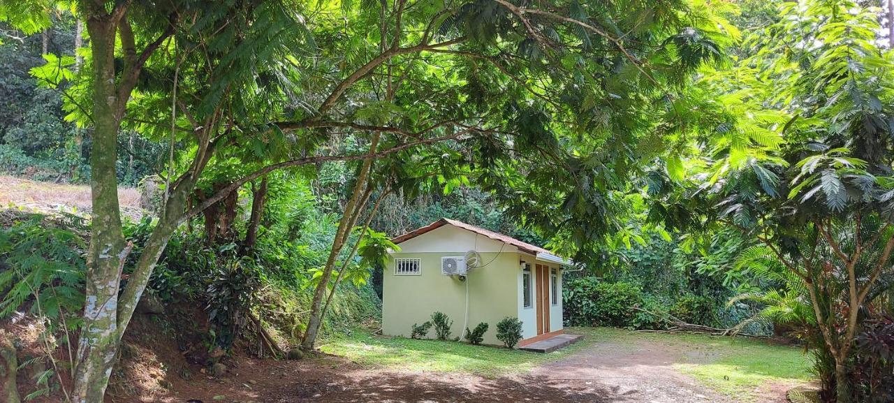 Hostal Y Cabinas Anita-And Rafting Tour! Siqurres Da Alegria Ngoại thất bức ảnh