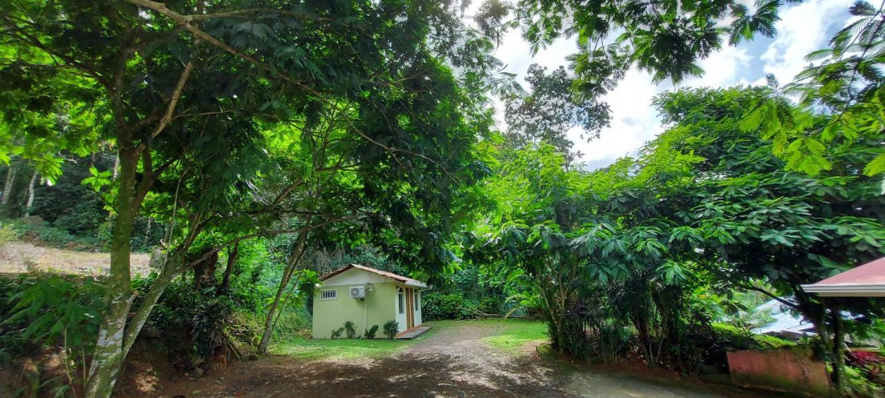 Hostal Y Cabinas Anita-And Rafting Tour! Siqurres Da Alegria Ngoại thất bức ảnh