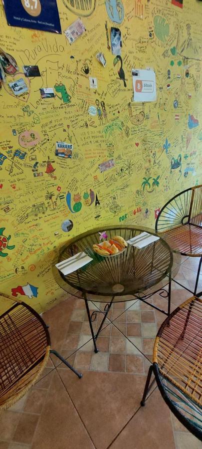 Hostal Y Cabinas Anita-And Rafting Tour! Siqurres Da Alegria Ngoại thất bức ảnh
